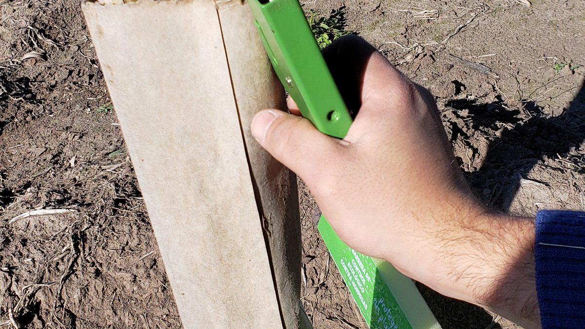 Colocación de la barrera Ecostop en el tallo con abrochadora, en plantación de cítricos.